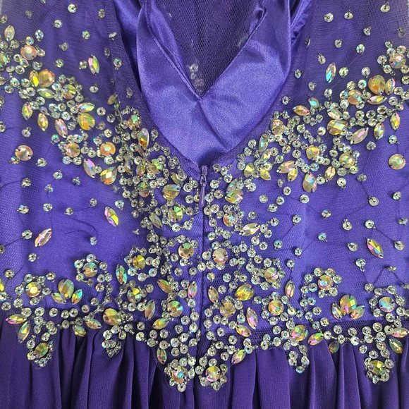 Charming Purple Prom/Grad Dress with Jewels and shawl, Size 14 - Picture 3 of 10